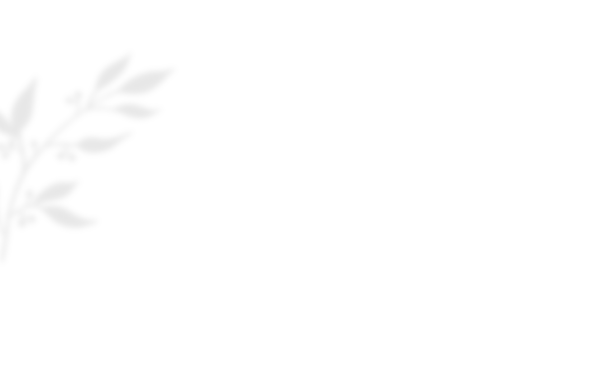 https://www.doreventsannex.com/wp-content/uploads/2020/10/shadow_leaves_03.png