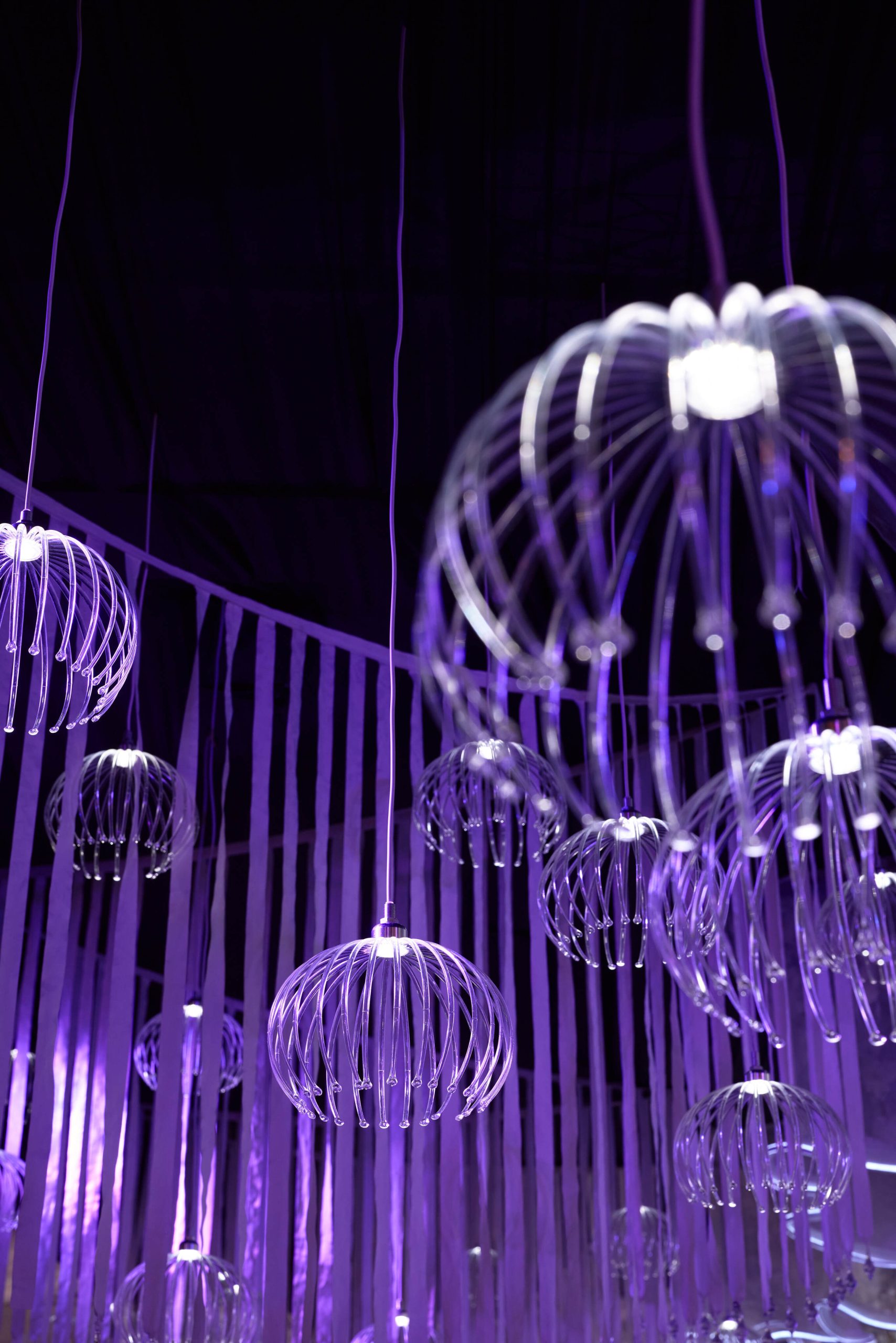 4S2A3534 https://www.doreventsannex.com/wp-content/uploads/2025/09/4S2A3534-scaled.jpg